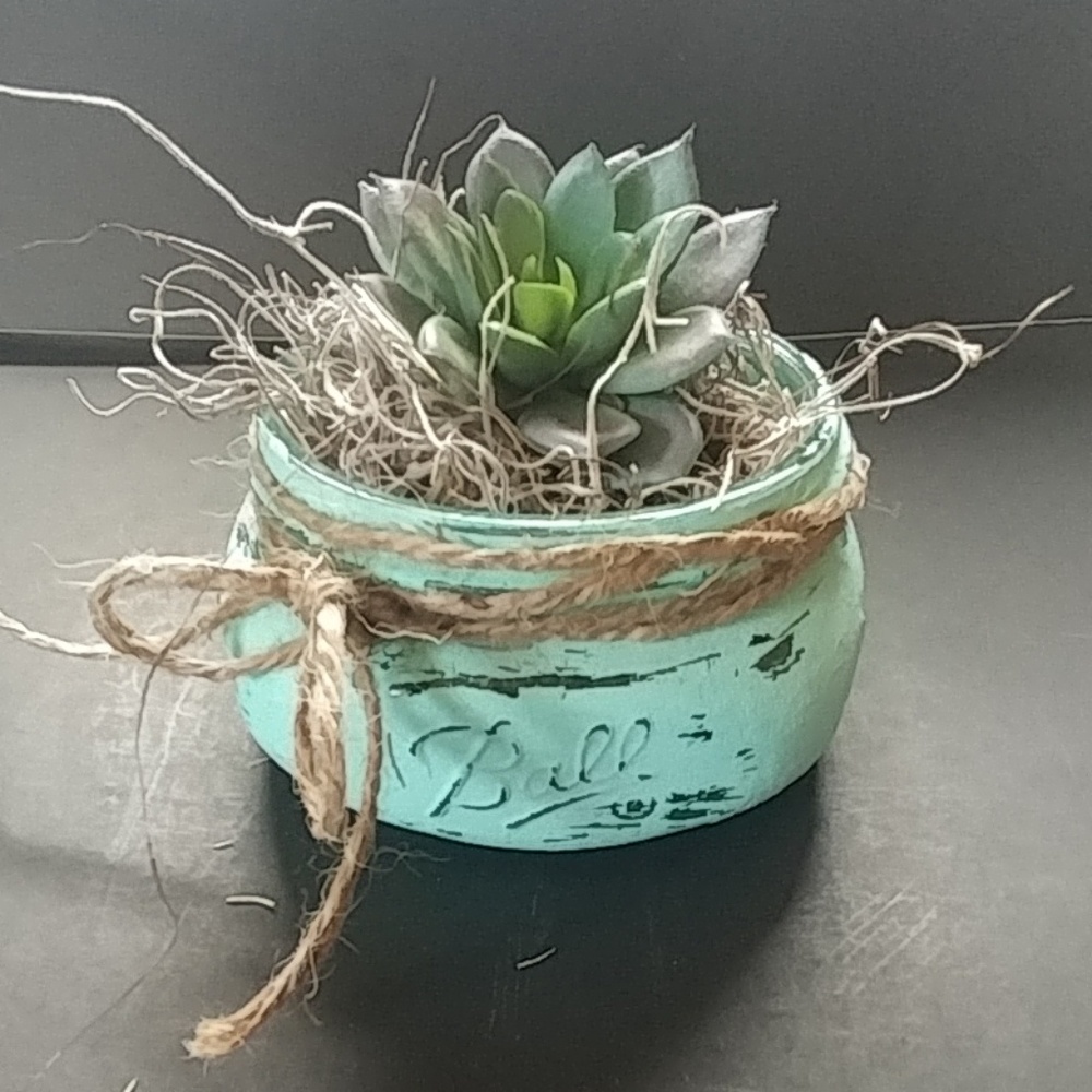 ❄Hand painted rustic mason jar